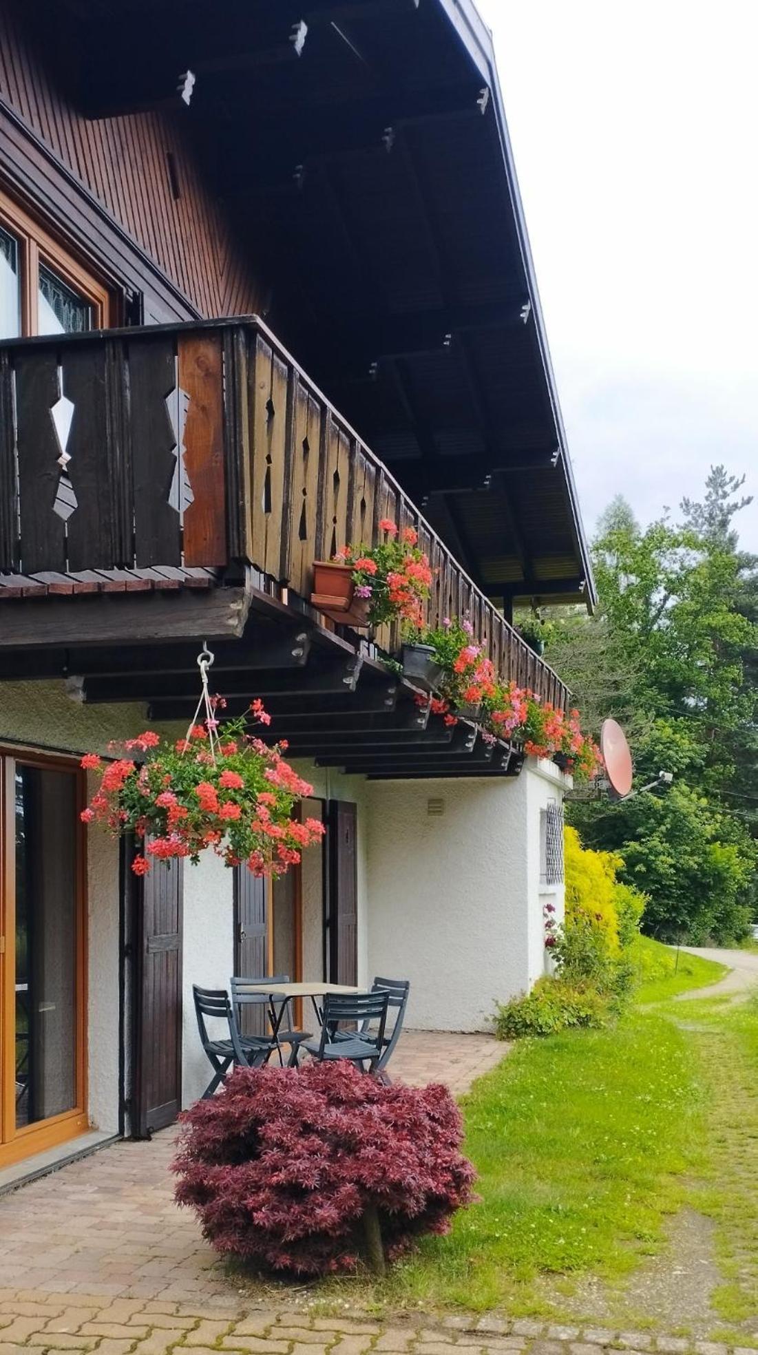 Chalet Au Bois Des Ecureuils Classe Trois Etoiles. Muhlbach-sur-Munster Exterior photo